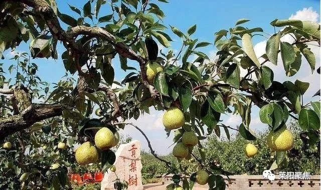 山水风情美景,山水风情欣赏