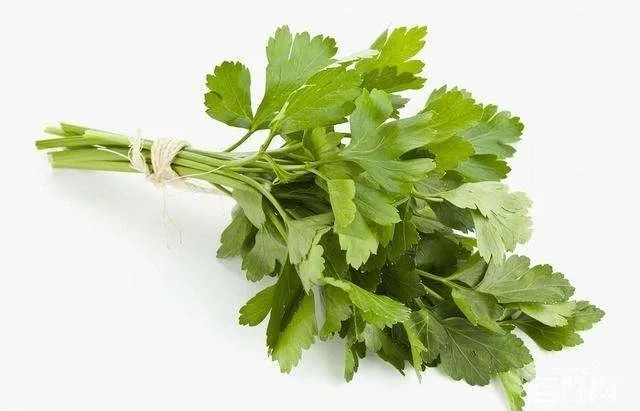 十大高档西餐食材,沧州西餐半成品原材料批发