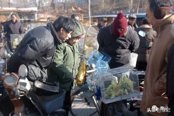 皇城根脚下,那是开封大爷遛鸟的天地