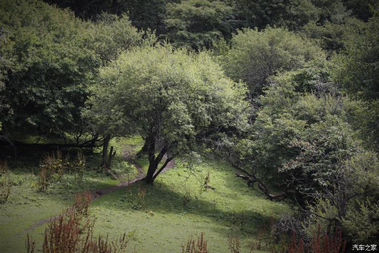 难忘的草原简谱完整版,难忘的草原女声完整版