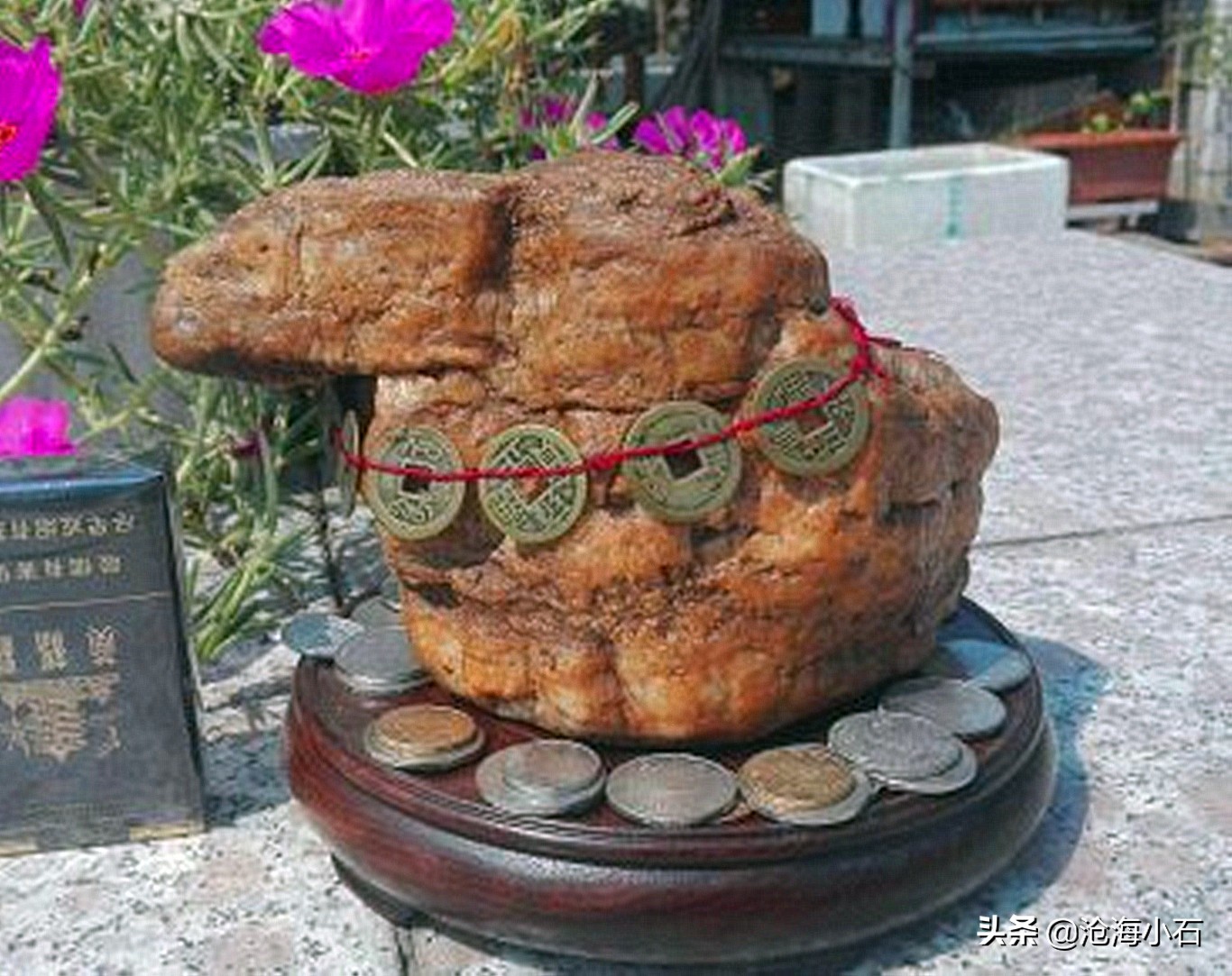 捡的石头怎么才可以完全清洗干净,捡回来的石头如何打理