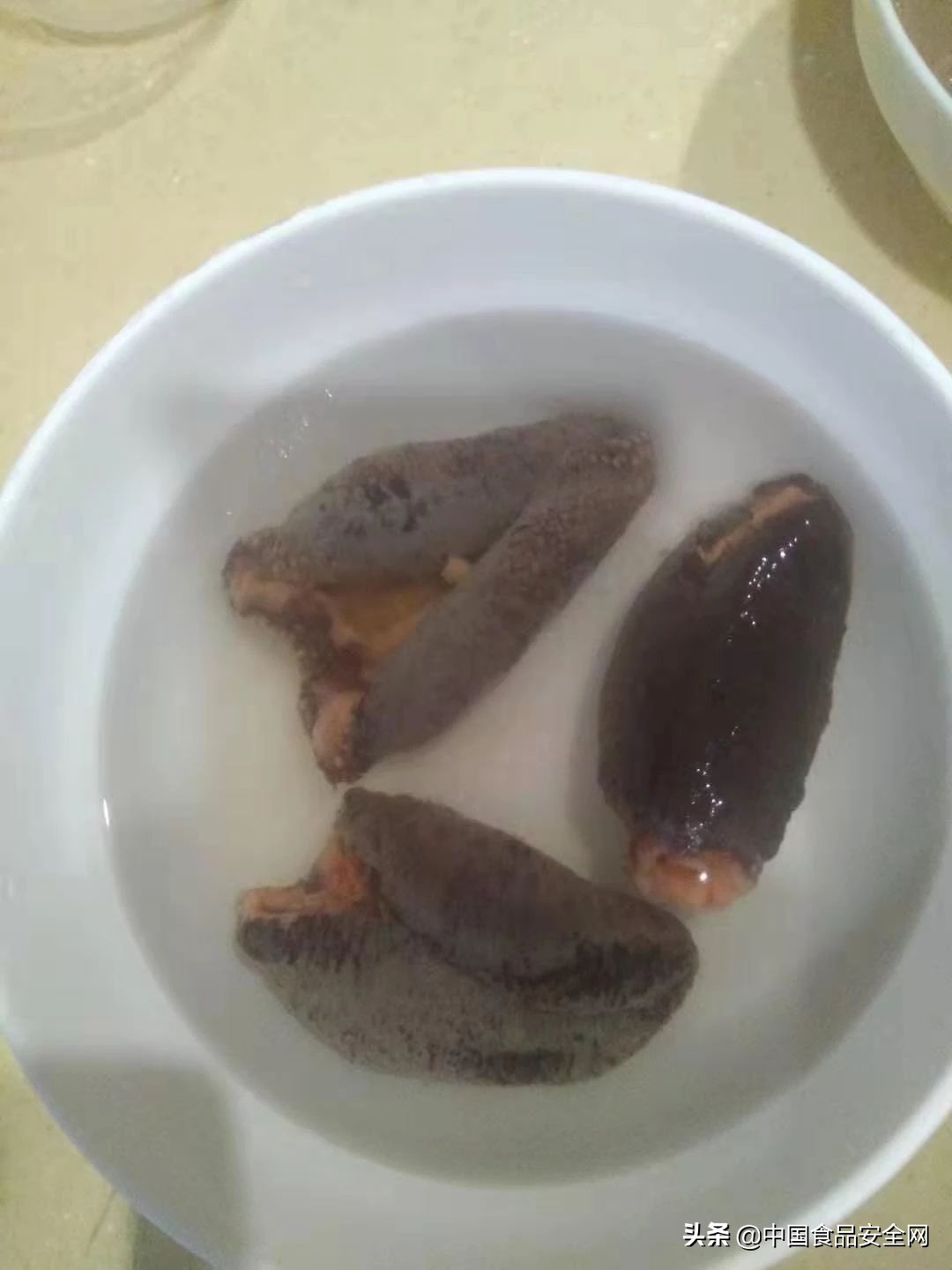 给父母买海参有必要吗,海参给父母孩子吃