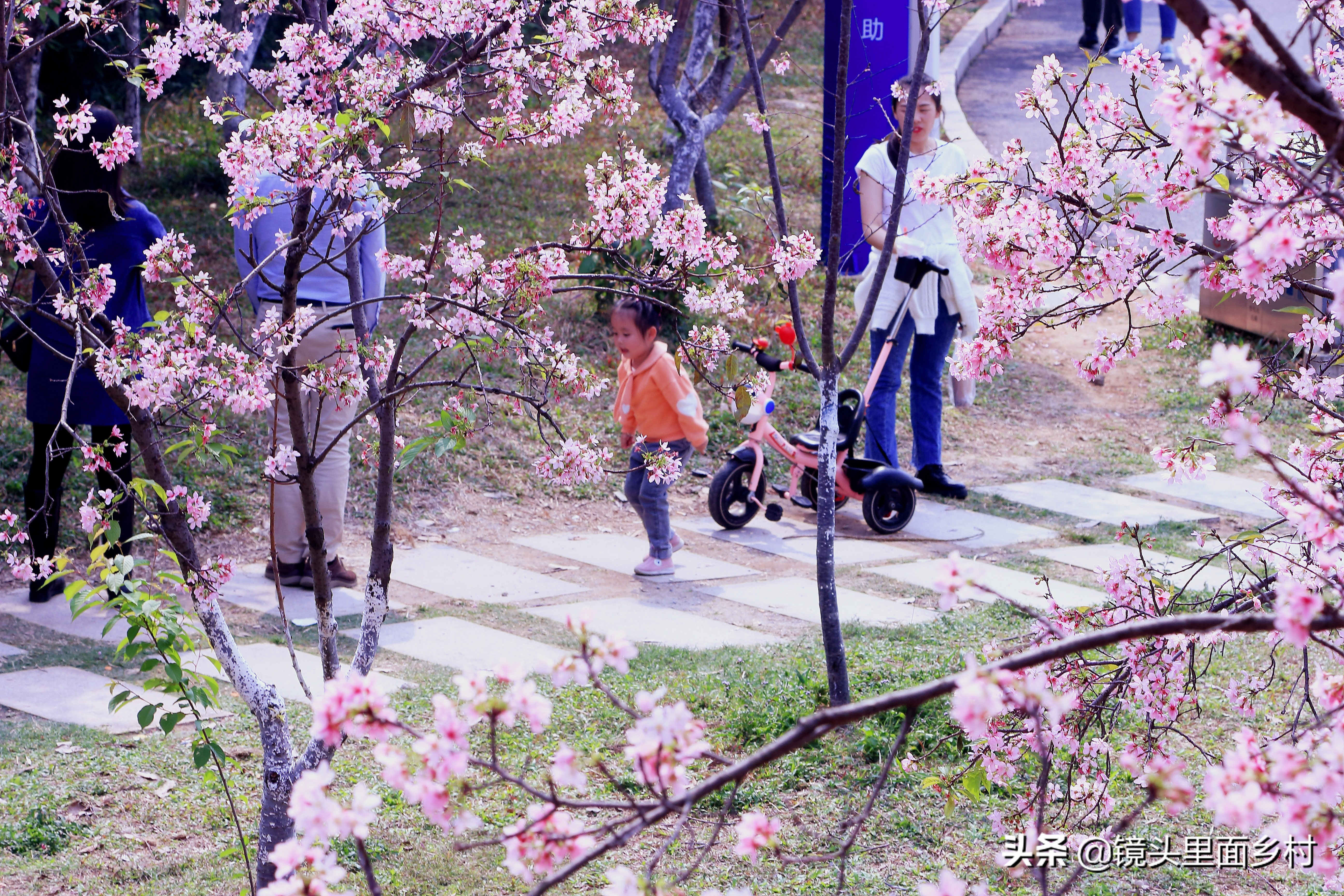 春分节日,节日春分