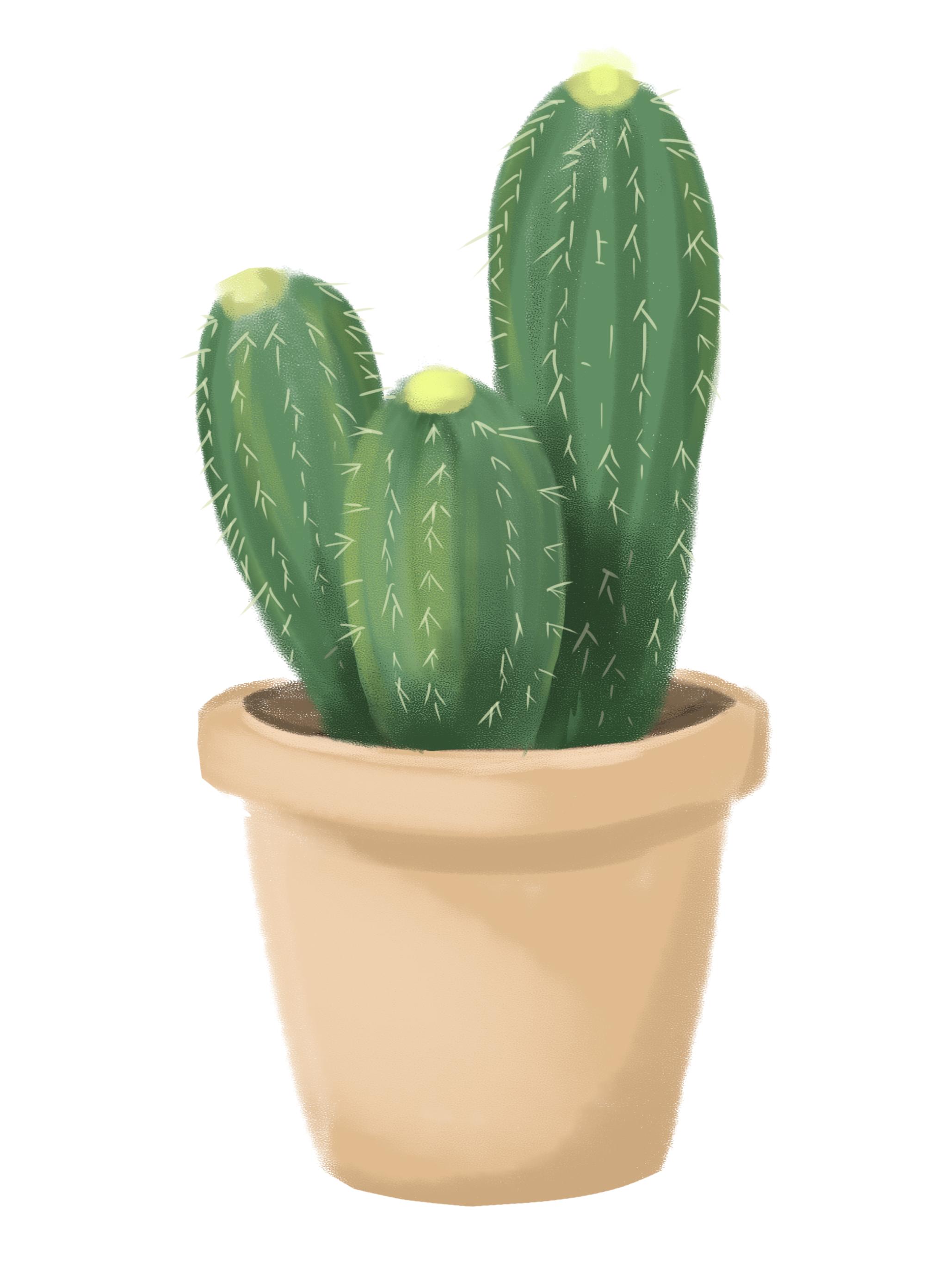 看图讲故事二年级看图写话,看图写话只看图不写字