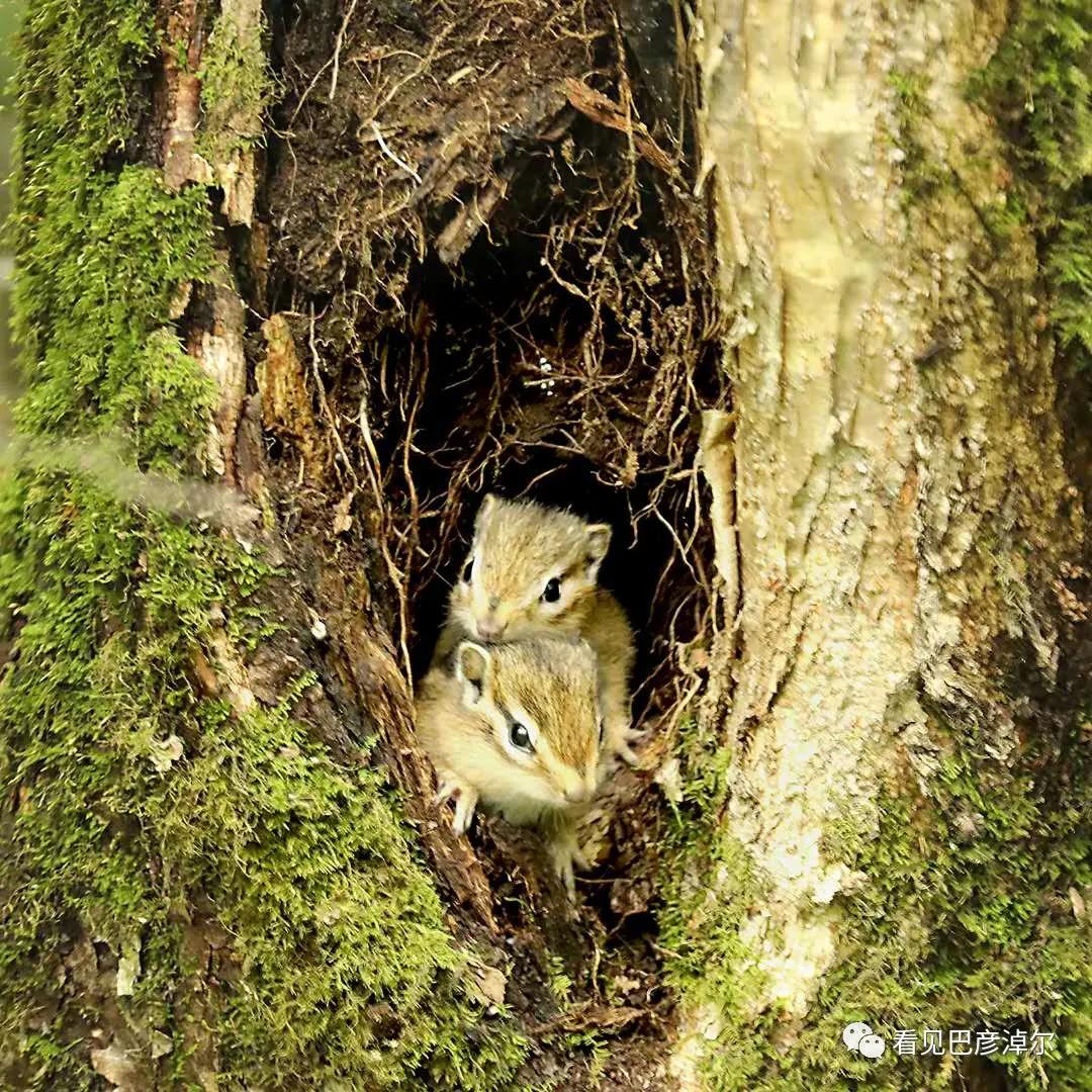 七分钟带你领略大美乌拉特前旗 (带你去看乌拉特前旗)
