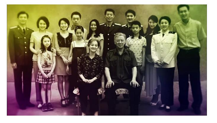 父母爱情评分高的原因,父母爱情电视剧的诟病