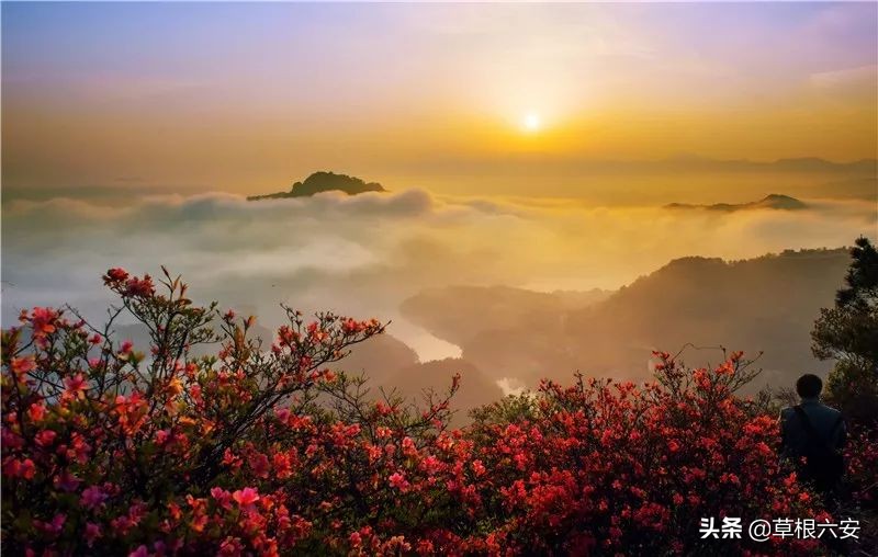 谢谢你来了全集,谢谢你医生