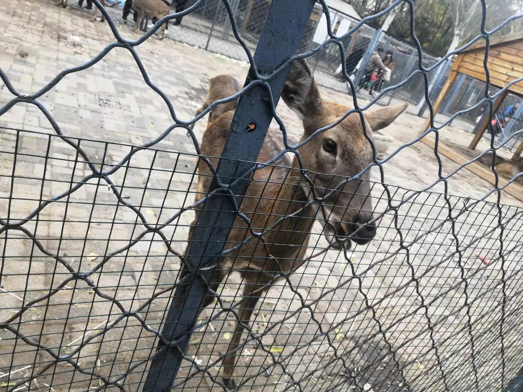 长白岛森林公园地铁,长白岛森林公园打卡攻略