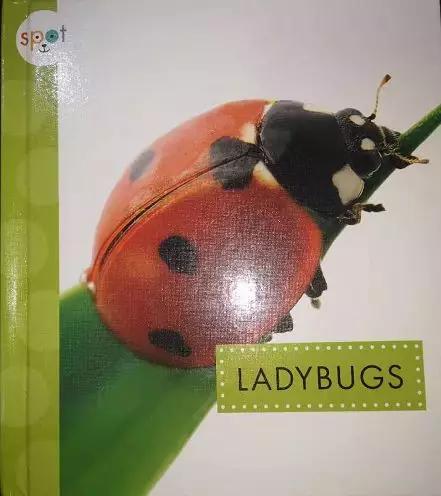 来聊聊总有一天要读的Non-fiction，怎么读，读什么...