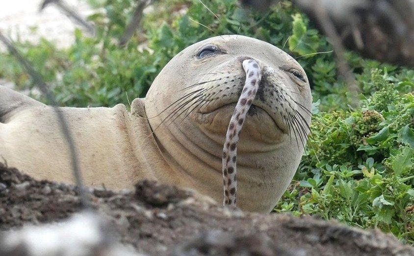 未解的世界难题,未解的世界之谜