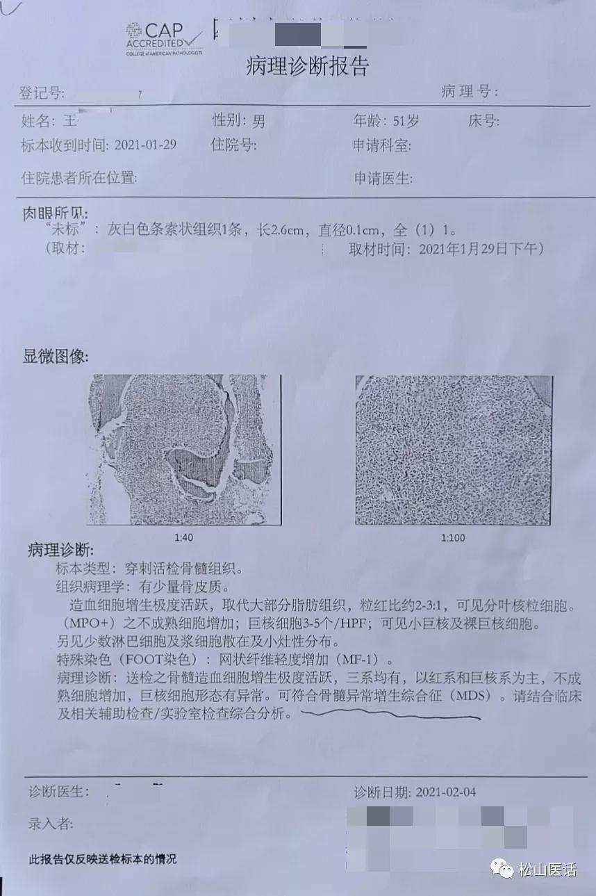 低危骨髓增生异常性贫血能治好吗,中医治疗重型再生障碍性贫血