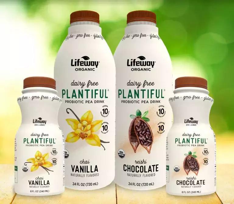 植物基产品的发展趋势,植物基市场