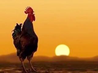 被蜈蚣咬了之后疼痛要持续多久,被蜈蚣咬了真疼