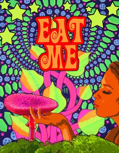 云南蘑菇吃了会中毒吗,云南吃蘑菇中毒