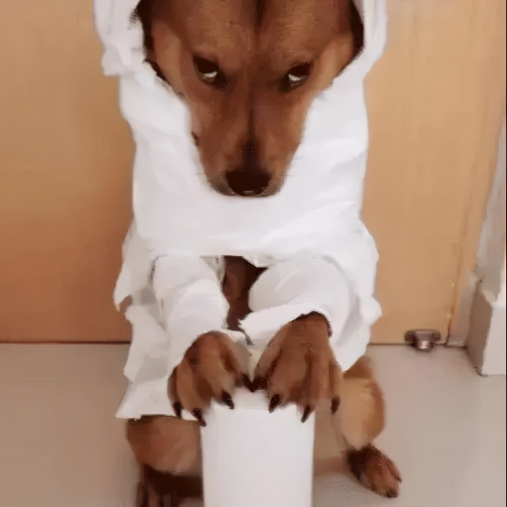 多少朋友圈逼王,在拼小圈社会性死亡