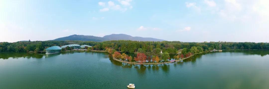 这才是真正的南京,这两天南京的温度是多高