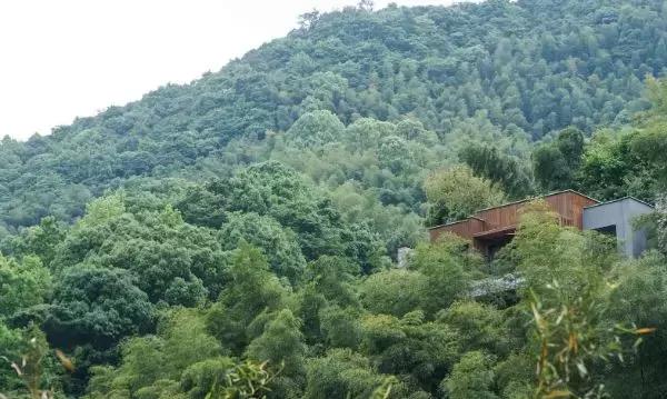 宁海安岚度假酒店,宁海安岚最美的酒店