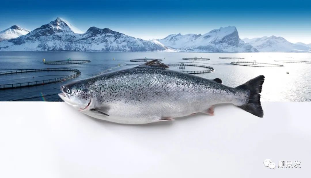 挪威和中国签订协议,挪威希望与中国加强合作