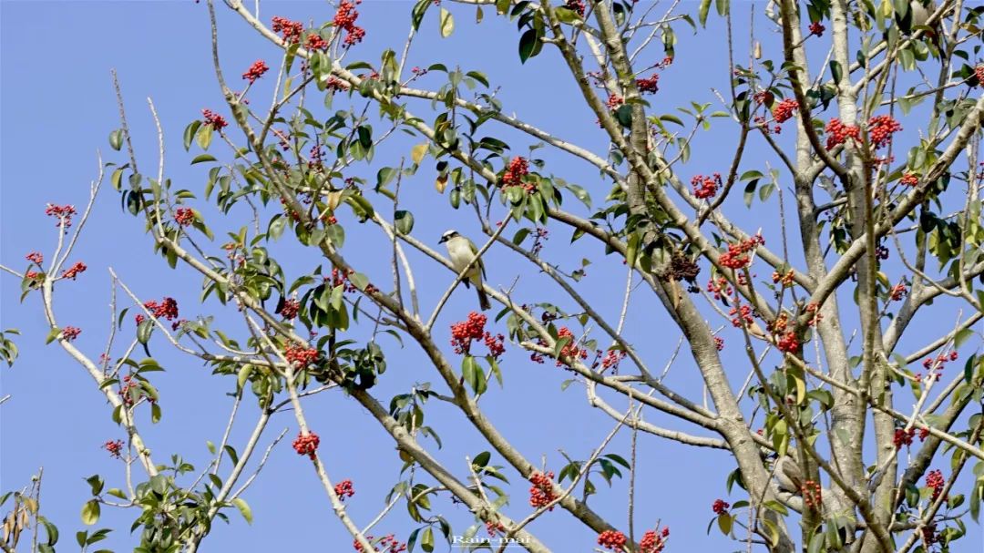 广州地铁22号线离增城距离多远,增城地铁21号线增城广场站