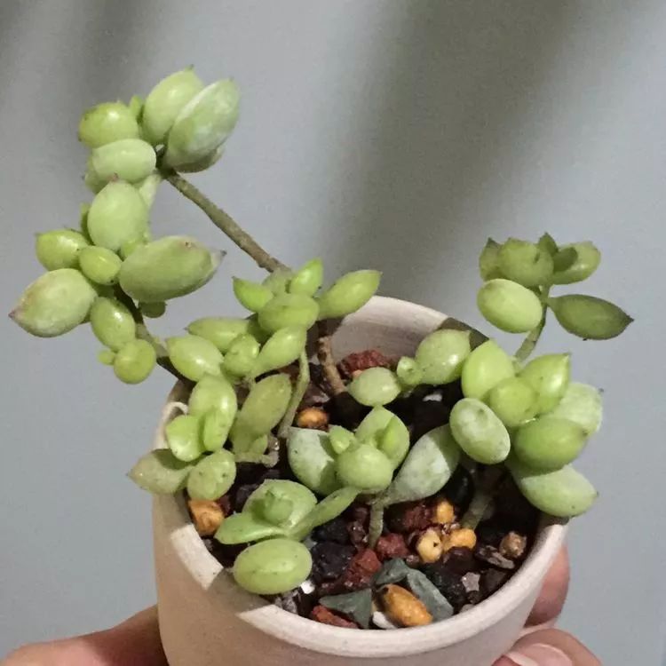 记录走过的美景留下美好的回忆,记录走过的每一段美好时光