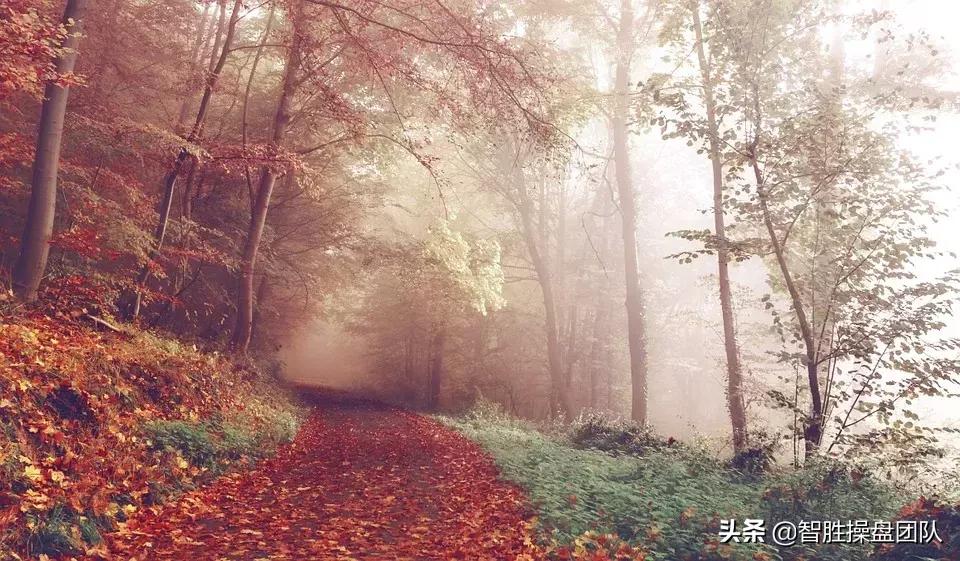 万般滋味皆是生活丰子恺,丰子恺万般滋味皆是生活作品简介