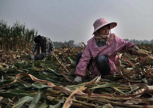 村里的女人们164,村里的女人