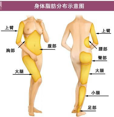 带你了解吸脂全过程,30秒带你了解大腿吸脂