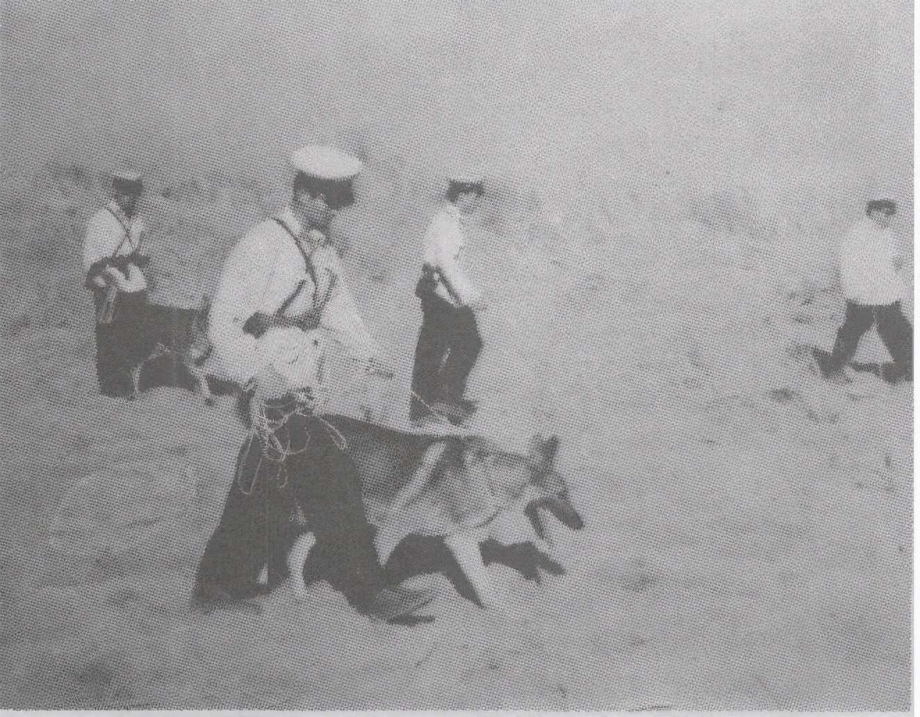 彭加木失踪之谜文字版,罗布泊彭加木未解之谜下集