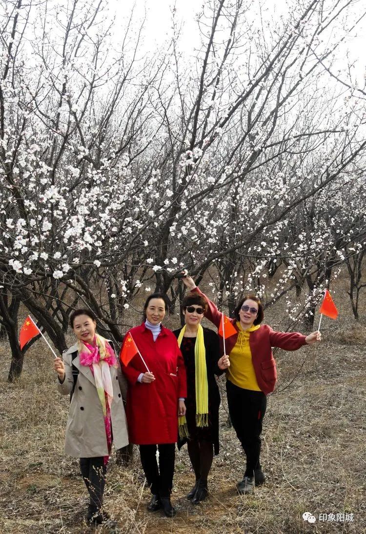 晋城哪里可以春游,晋城附近春游景点