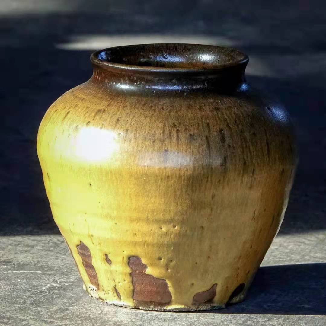 当代诗人诗歌朗读,诗人金宝