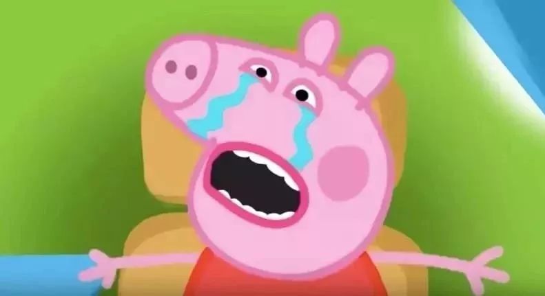 孩子多大看动画片比较好,为什么家长只让孩子看动画片