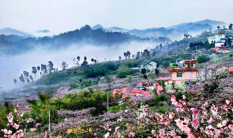 成都春游好去处周末 (成都周边周末春游推荐)