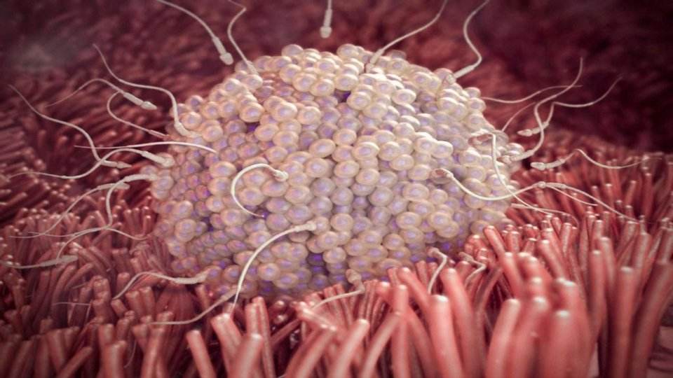 孕7周胚胎发育缓慢怎样才能更好,胎教0-6个月完整版