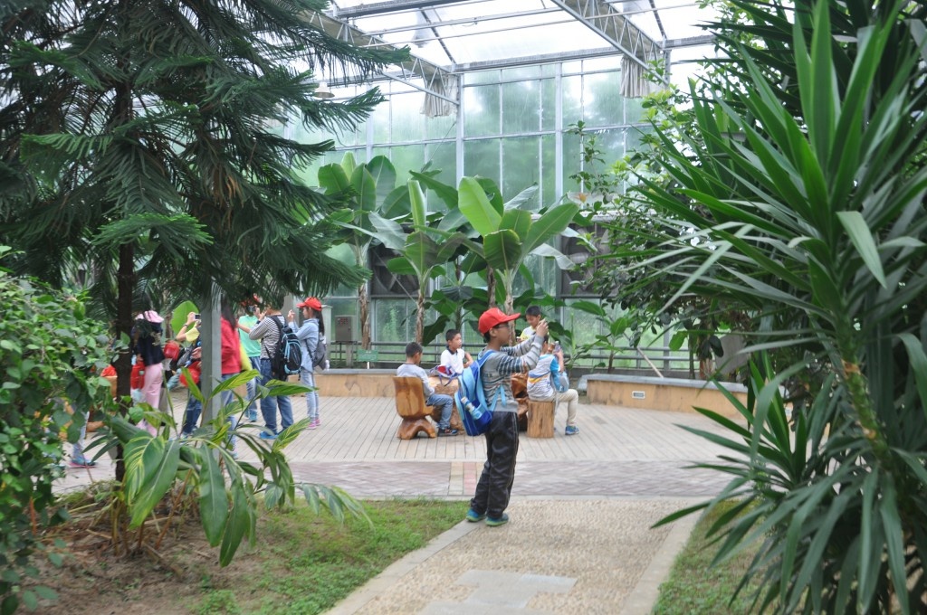江苏南京高淳区旅游攻略,南京高淳老街一日游怎么坐地铁