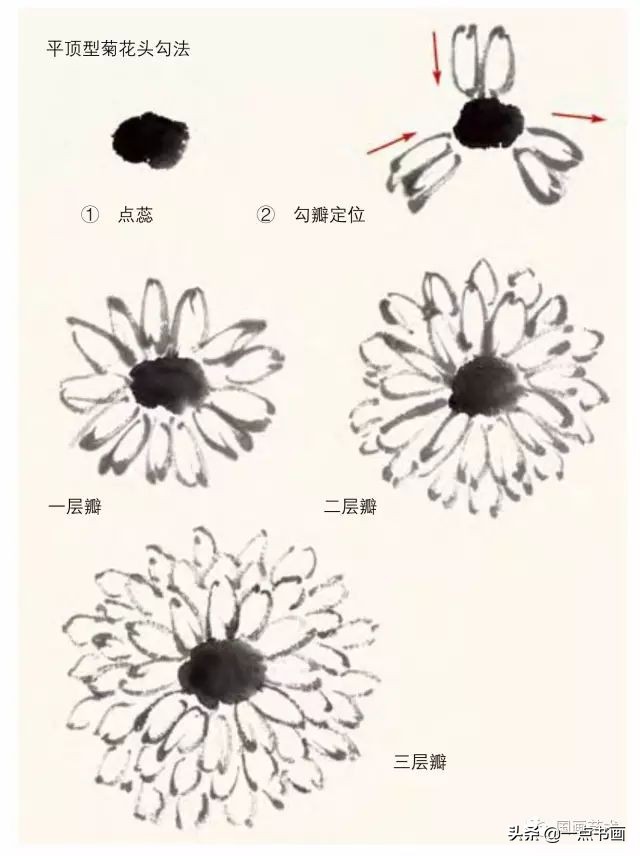 怎样画菊花国画,徐湛画菊花国画入门教程