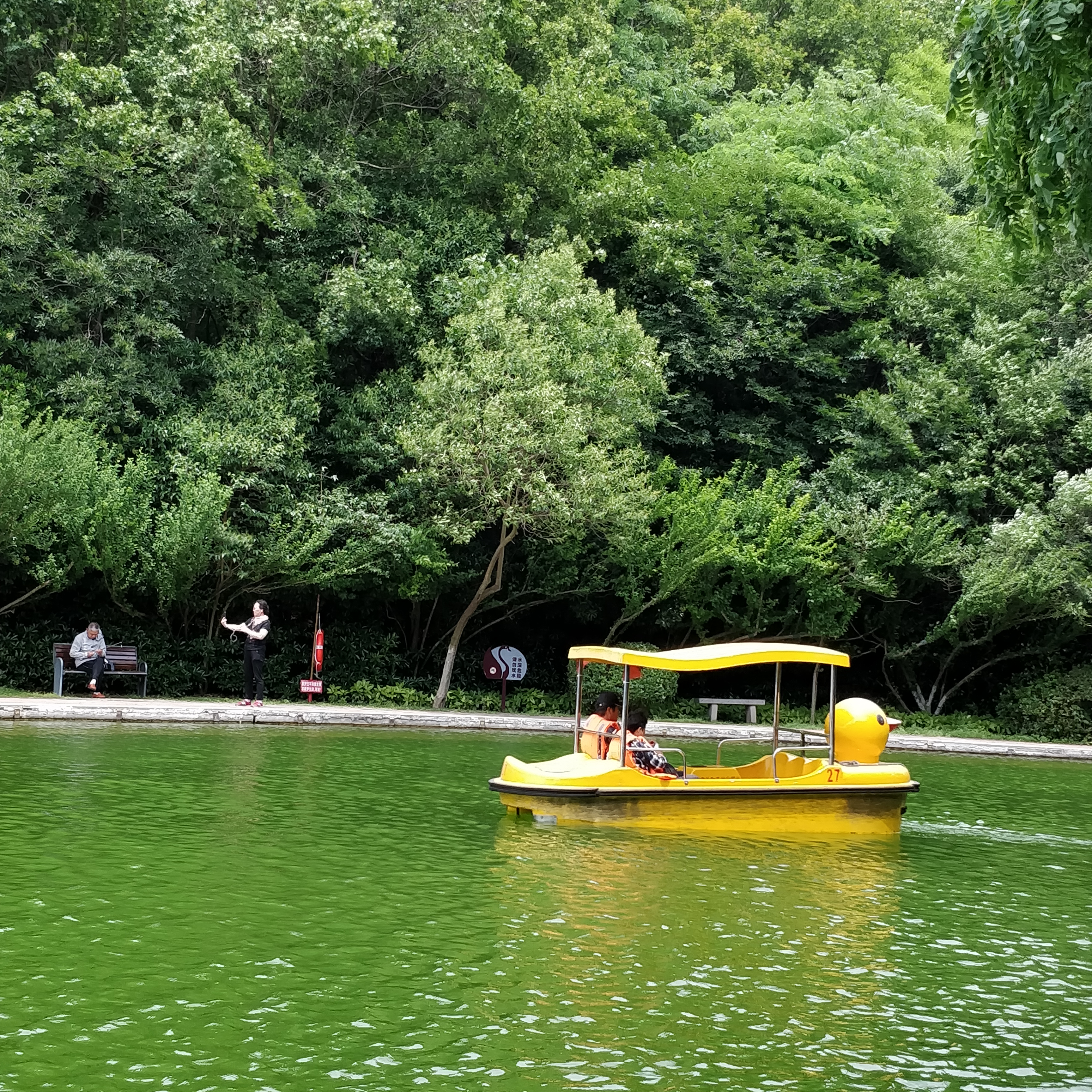 淮北相山公园相山之巅,我眼中的公园范文