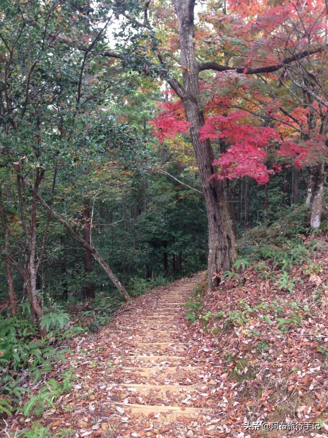 日本熊野古道拍摄,摄影师镜头下的景区
