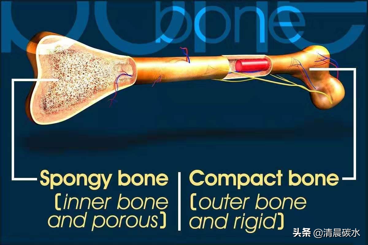 真正能让青春期孩子长高的方法,适合青春期的小孩快速长高的方法