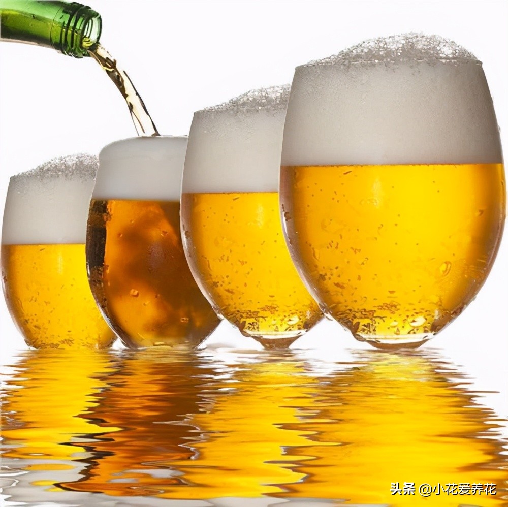 盆土不板结的小妙招,盆土板结最简单的方法