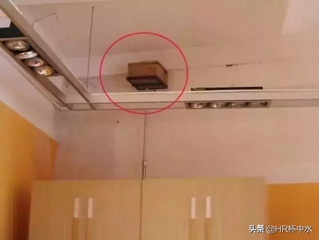 雨天晚上，如何防治飞进家里长翅膀的白蚁虫？全面白蚁虫知识介绍