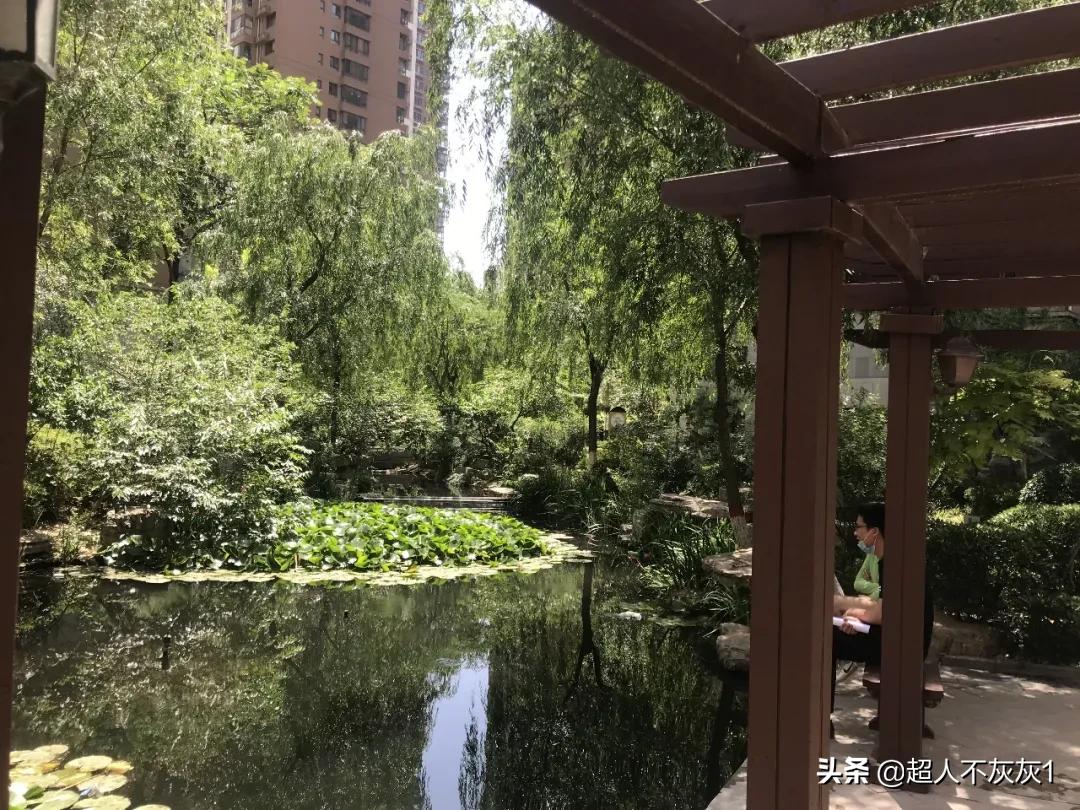 石家庄园林景观最好的小区：一流学区，江南水景，交房超过十年