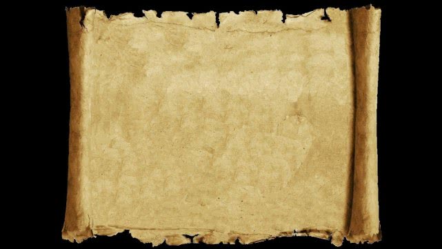 折断的植物可以自己愈合吗,折断的植物如何处理