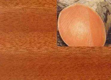 新中式桃花芯木,小叶桃花心木