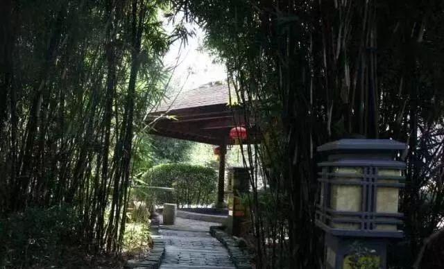 汤山温泉镇,汤山温泉冬天冷不冷