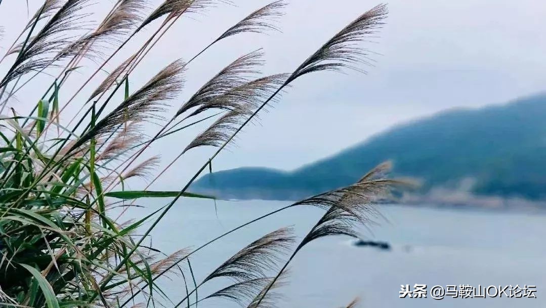 毕业后的这三年你过得怎么样,大学生在马鞍山都能干什么工作