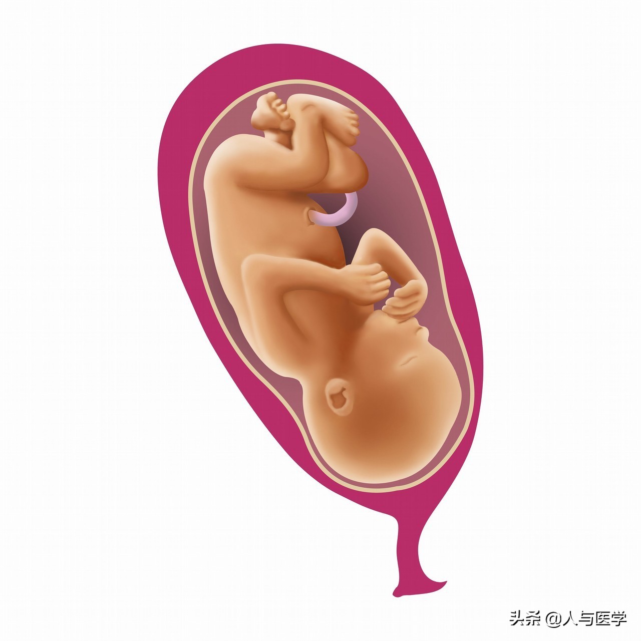 孕妇做唐筛为啥问体重,孕期测量胎儿体重最准确的方法