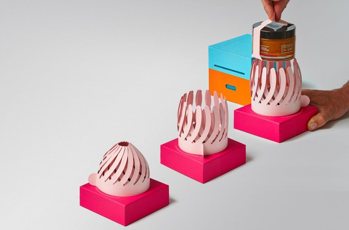 开封就像在采蜜！英国蜂蜜新包装炫目登场，纸花开绽采蜜趣！