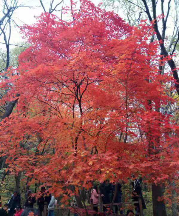 坚持的幸运,坚持奋斗幸福永远笑在最后