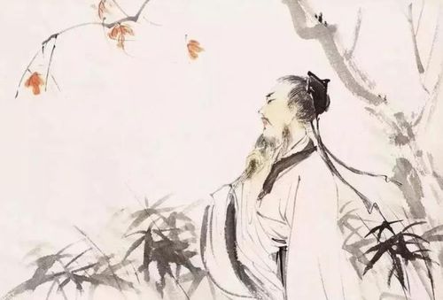 在你的眼里诗歌到底是什么,苏轼留给你印象最深的是什么