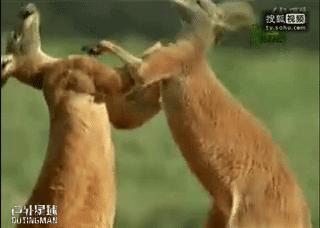 解析腹痛的一些常见病因,腹痛原因自查表一看就懂绝对实用